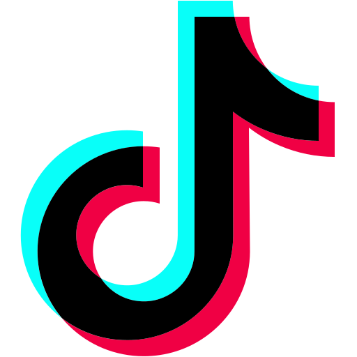 Number Plates TikTok